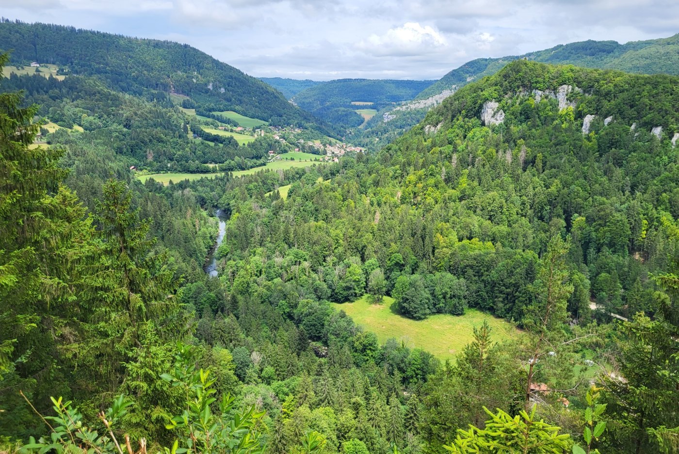 vue Franches-Montagnes, nature, rivière Doubs,